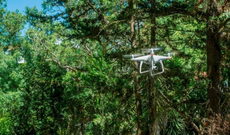 ¿Cómo puede la inteligencia artificial ayudar a frenar la deforestación en la Amazonia?