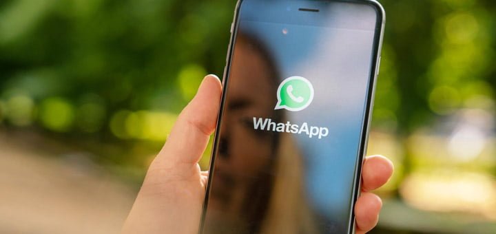 WhatsApp: ¿Qué pasa si no acepto los nuevos términos y condiciones?